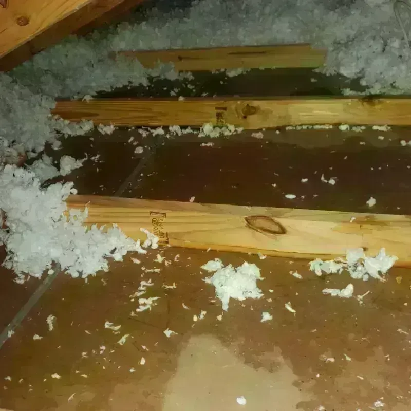 Attic Water Damage in Dane County, WI