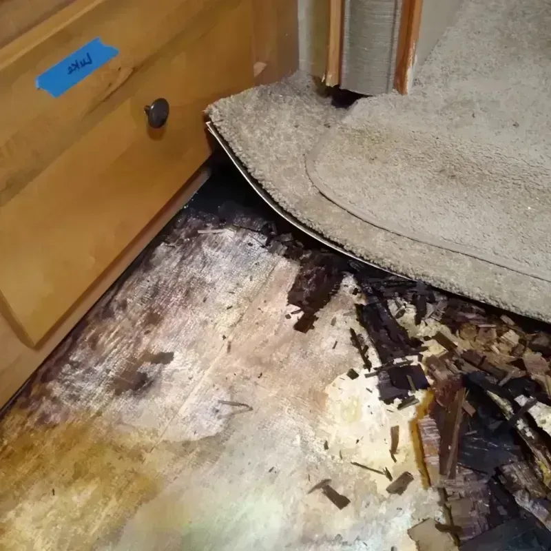 Best Wood Floor Water Damage Service in Dane County, WI